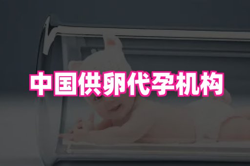 福建助孕网 1